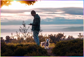 Zurück zu Grau, aber nicht alles auf einmal