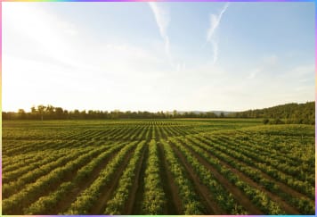 干旱期与降雨间隙