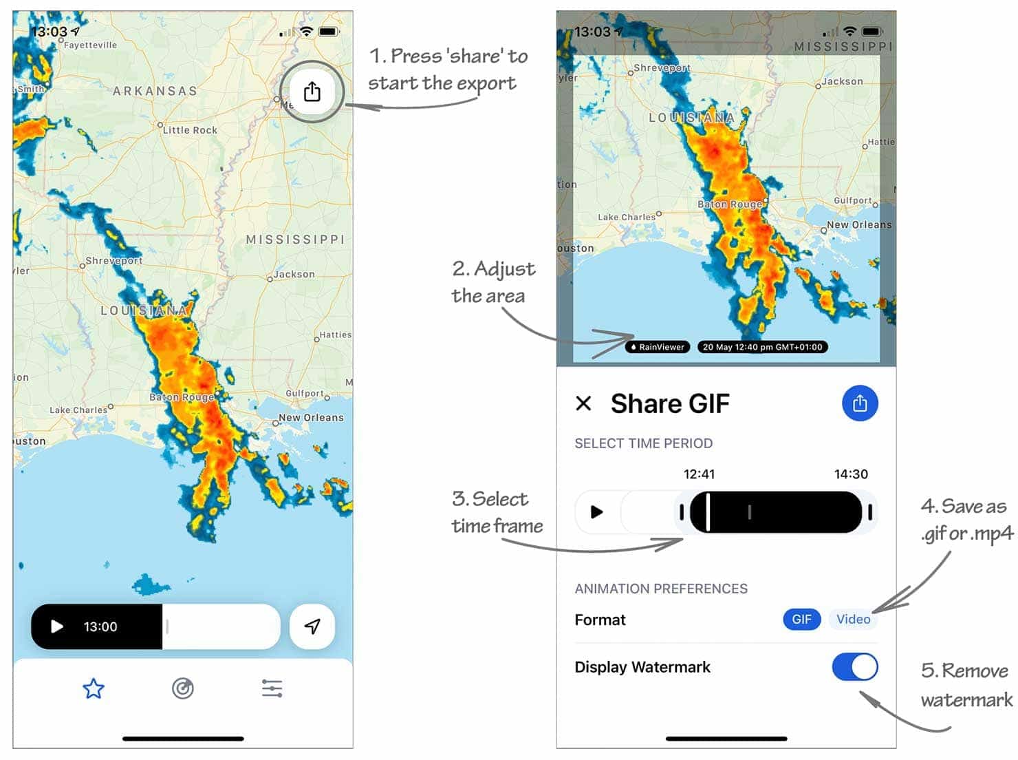 Export and Share Radar Animation in RainViewer on iPhone