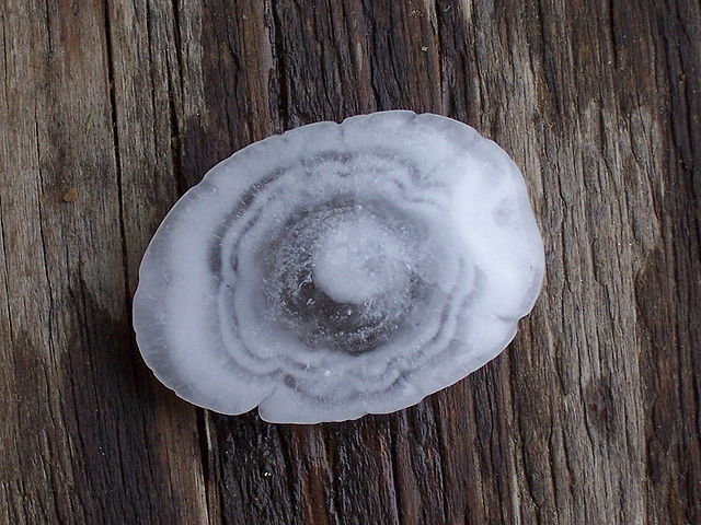 Large hailstone with concentric rings