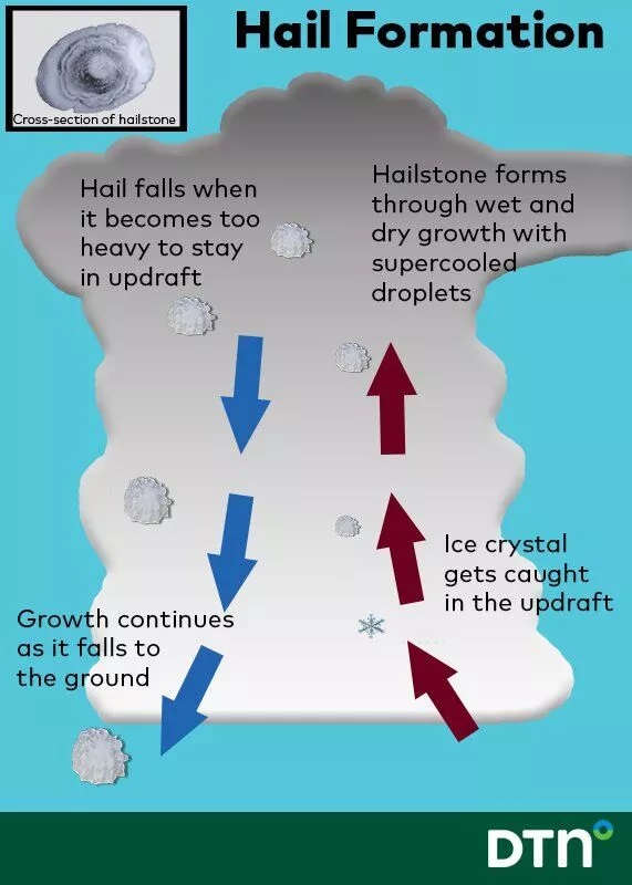 Hail formation correct diagram