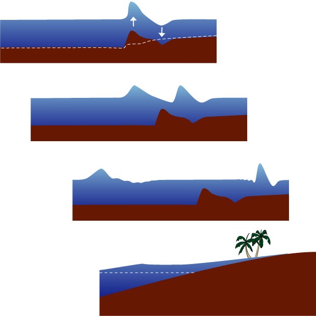 What Is a Tsunami? How It Is Formed? | RainViewer Blog