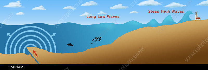 Illustration what is a tsunami and how does it form