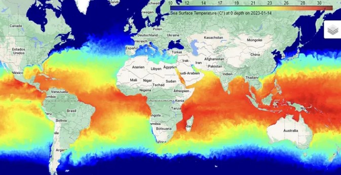 Sea surface temperature