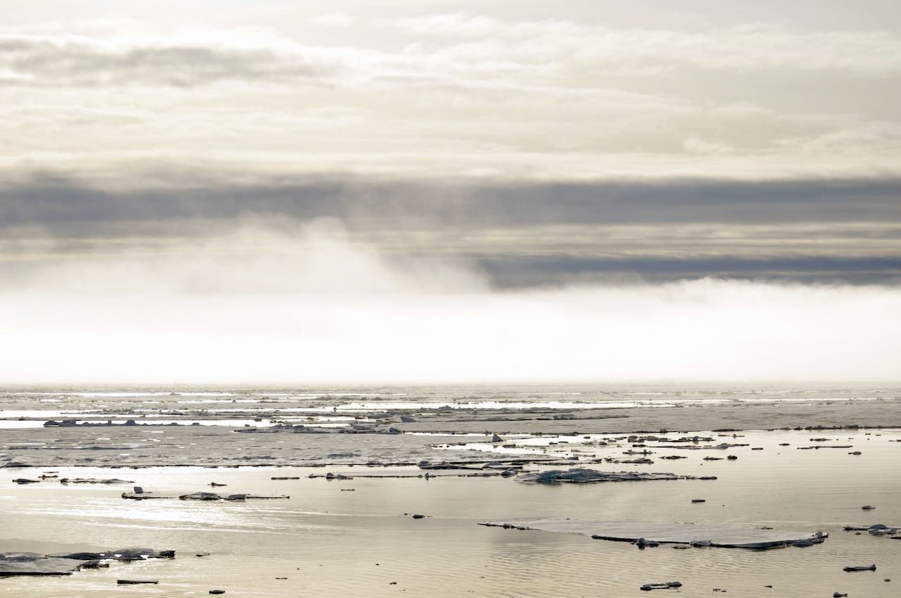Fog over the Arctic Ocean