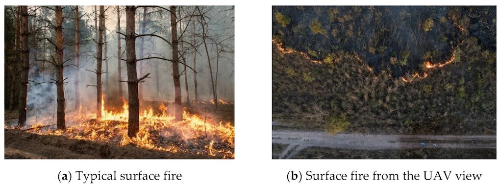 Training image samples in the dataset. (a,b) Surface fires.