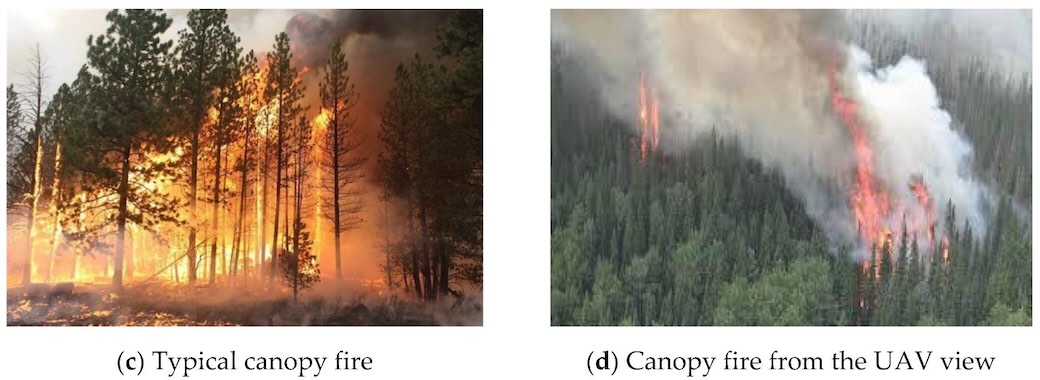 Training image samples in the dataset. (c,d) canopy fires.