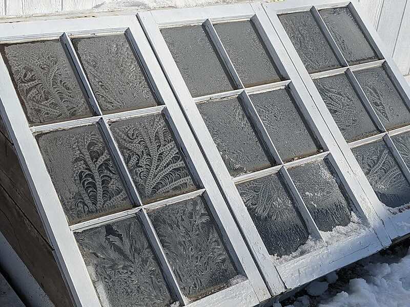 Frost patterns on a window glass