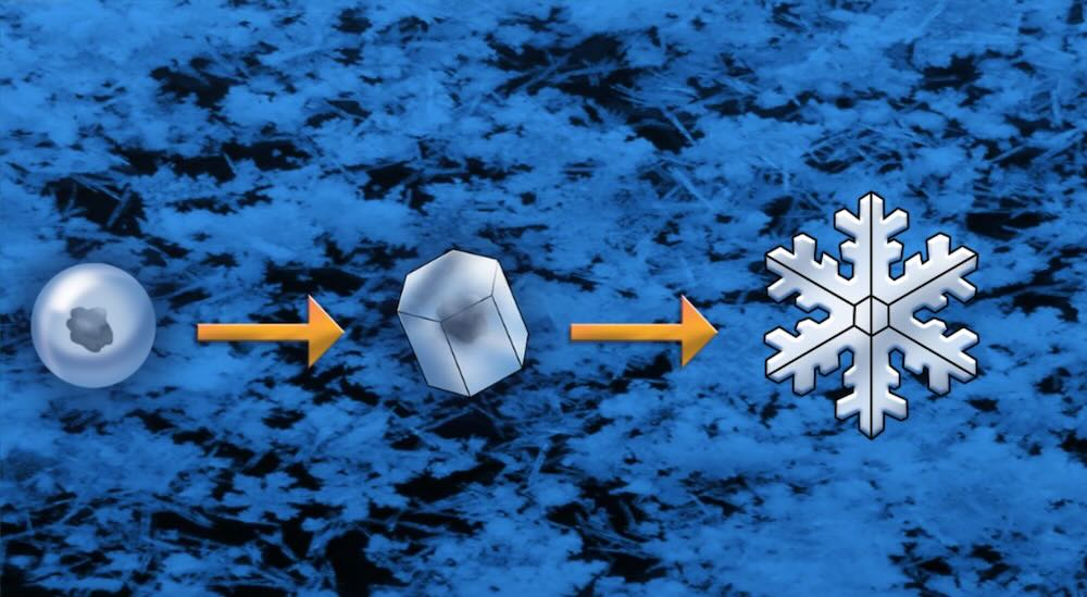 Snowflake formation stages: nucleation, growth, and branching