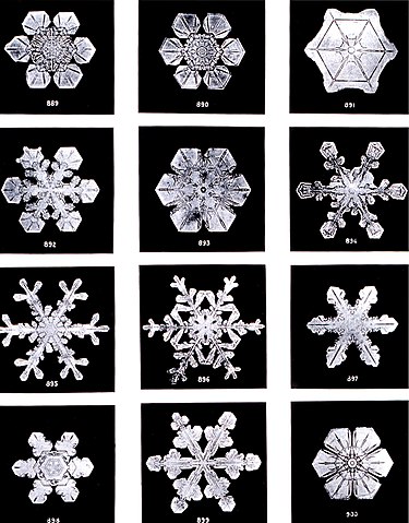 Snowflake photos by Wilson Bentley, ca. 1902