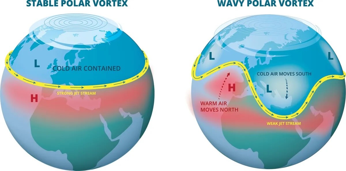 Causes of a Polar Vortex Disruption