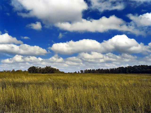 Types of clouds: Cumulus clouds