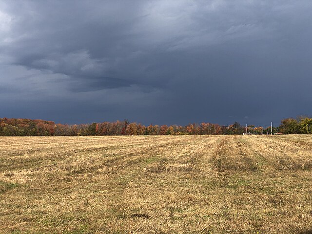 Cloud types: Nimbostratus clouds