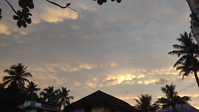 Cloud types: Mammatus clouds