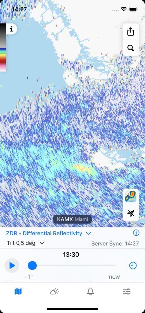 PRO Radar Products in the Rain Viewer App: Differential Reflectivity