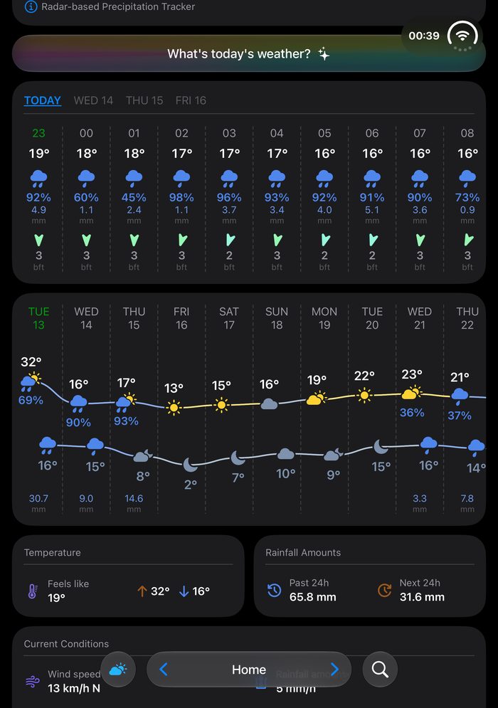 RainViewer 8.4 hourly and daily forecast charts with the rainfall total in millimeters under the chance of rain, and the Rainfall Amounts card with the past and next 24 hours