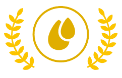 RV icon